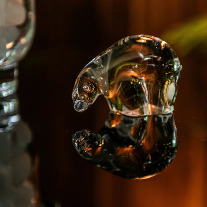 Orso polare, piccolo