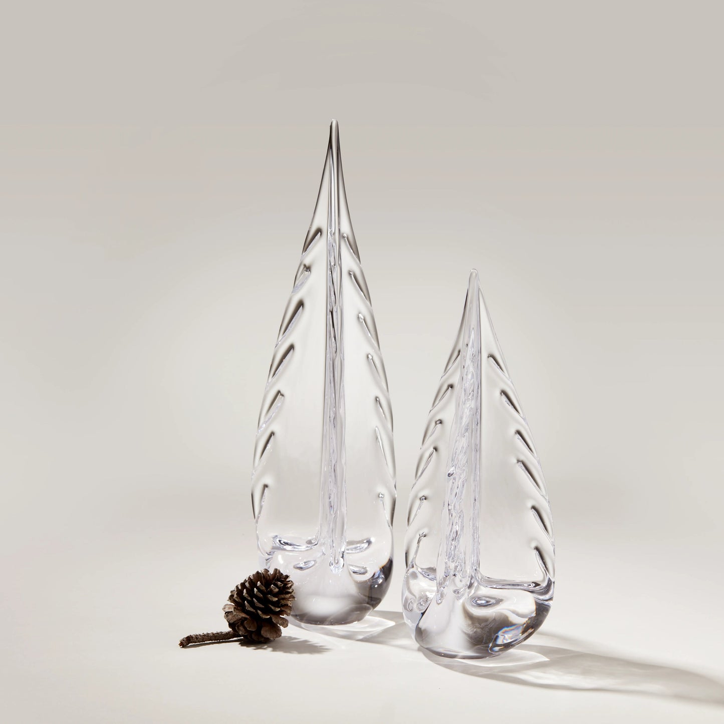 Sempreverde carico di ghiaccio