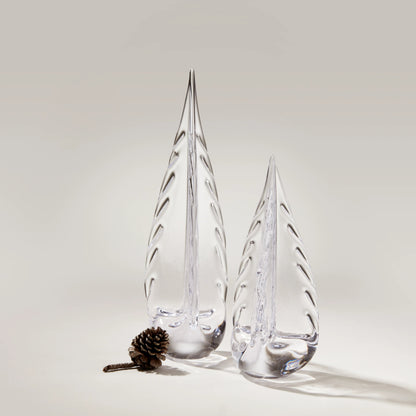 Sempreverde carico di ghiaccio