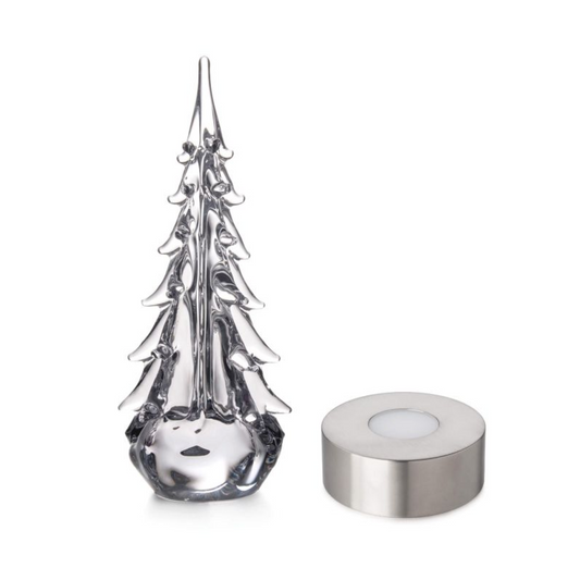 Sempreverde illuminato a cinque lati