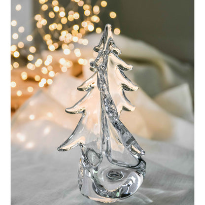 Vermont Twist Evergreen in confezione regalo