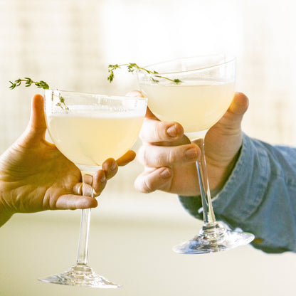 Bicchieri Vintner Nick &amp; Nora in confezione regalo - Set da 2