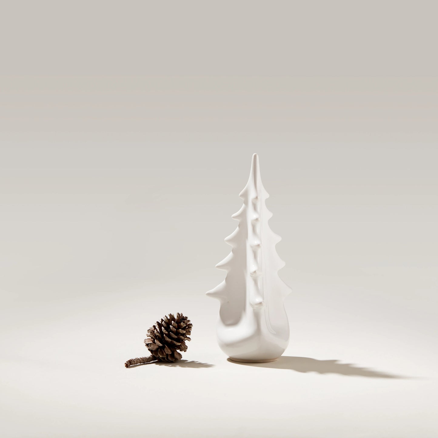 Ceramica sempreverde – Colomba