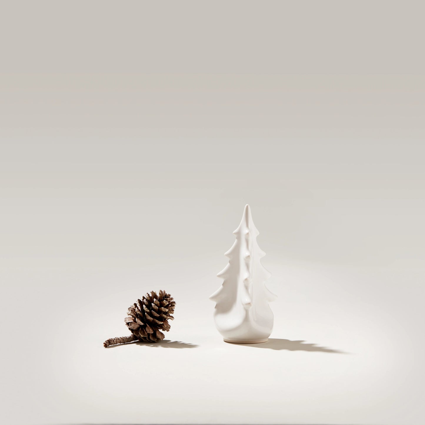 Ceramica sempreverde – Colomba