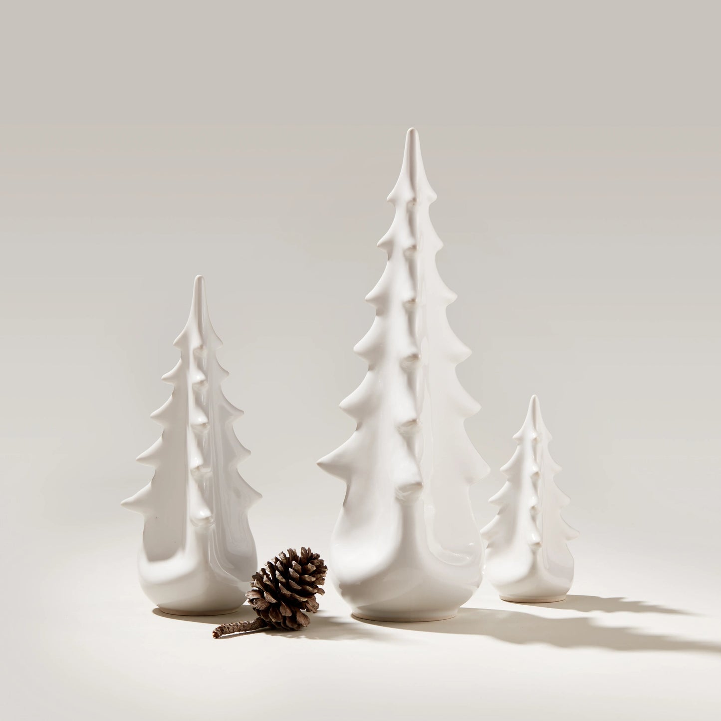 Ceramica sempreverde – Colomba