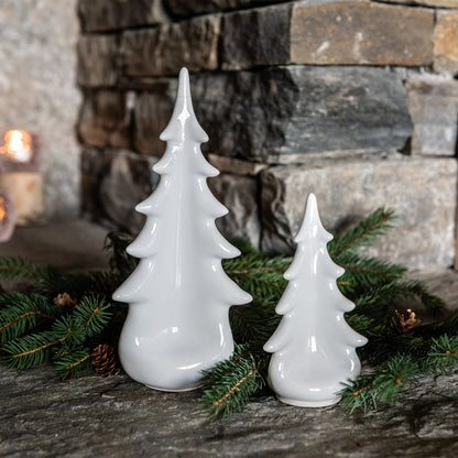 Ceramica sempreverde – Colomba