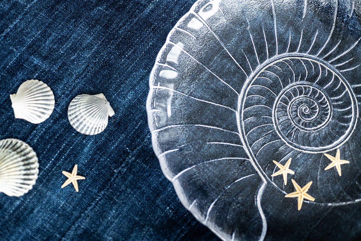 Piatto di conchiglie