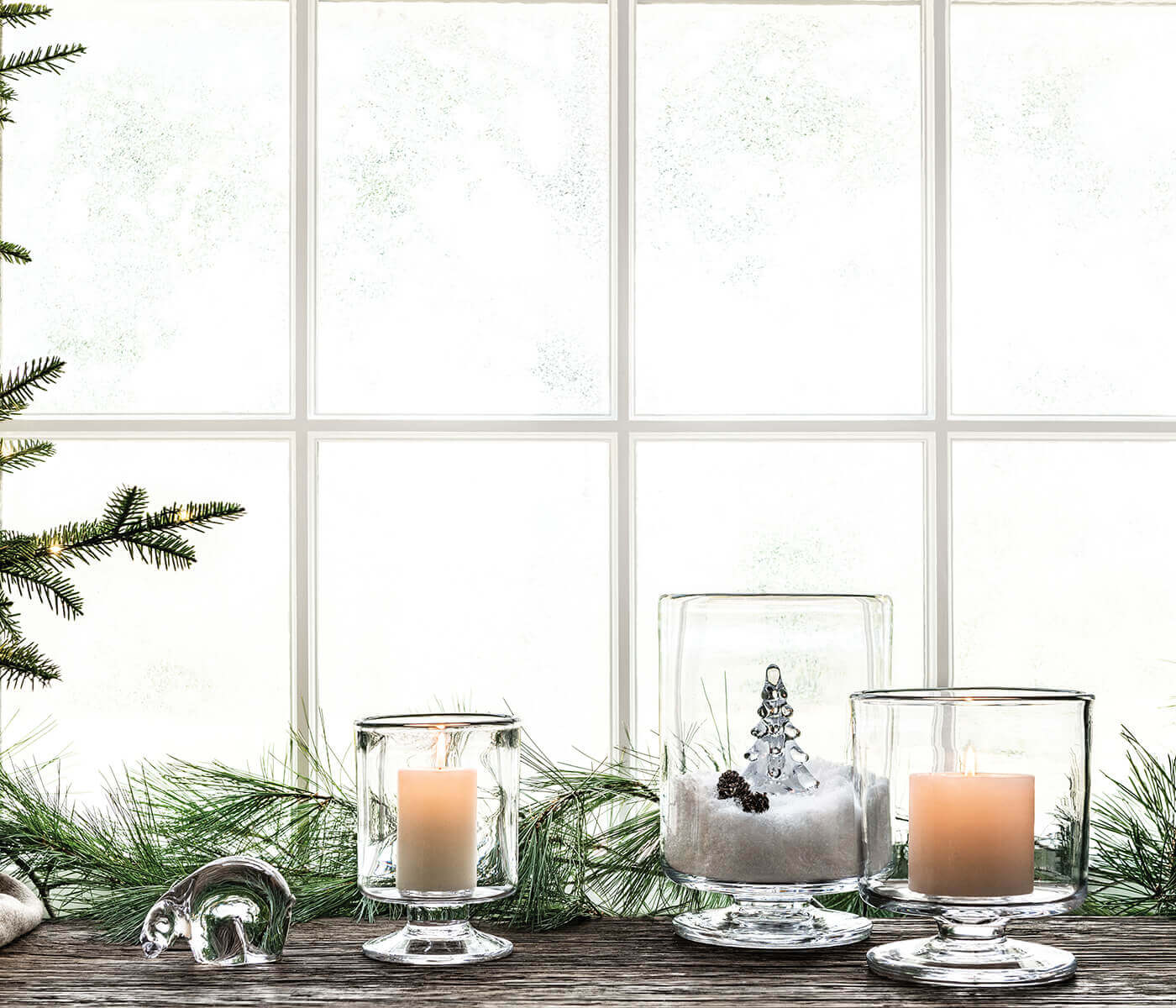 Orso polare, piccolo