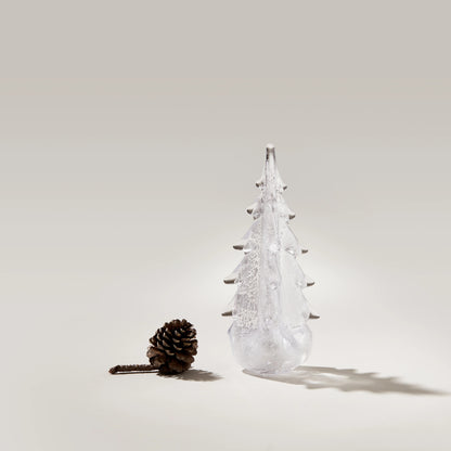 Foglia d'argento sempreverde