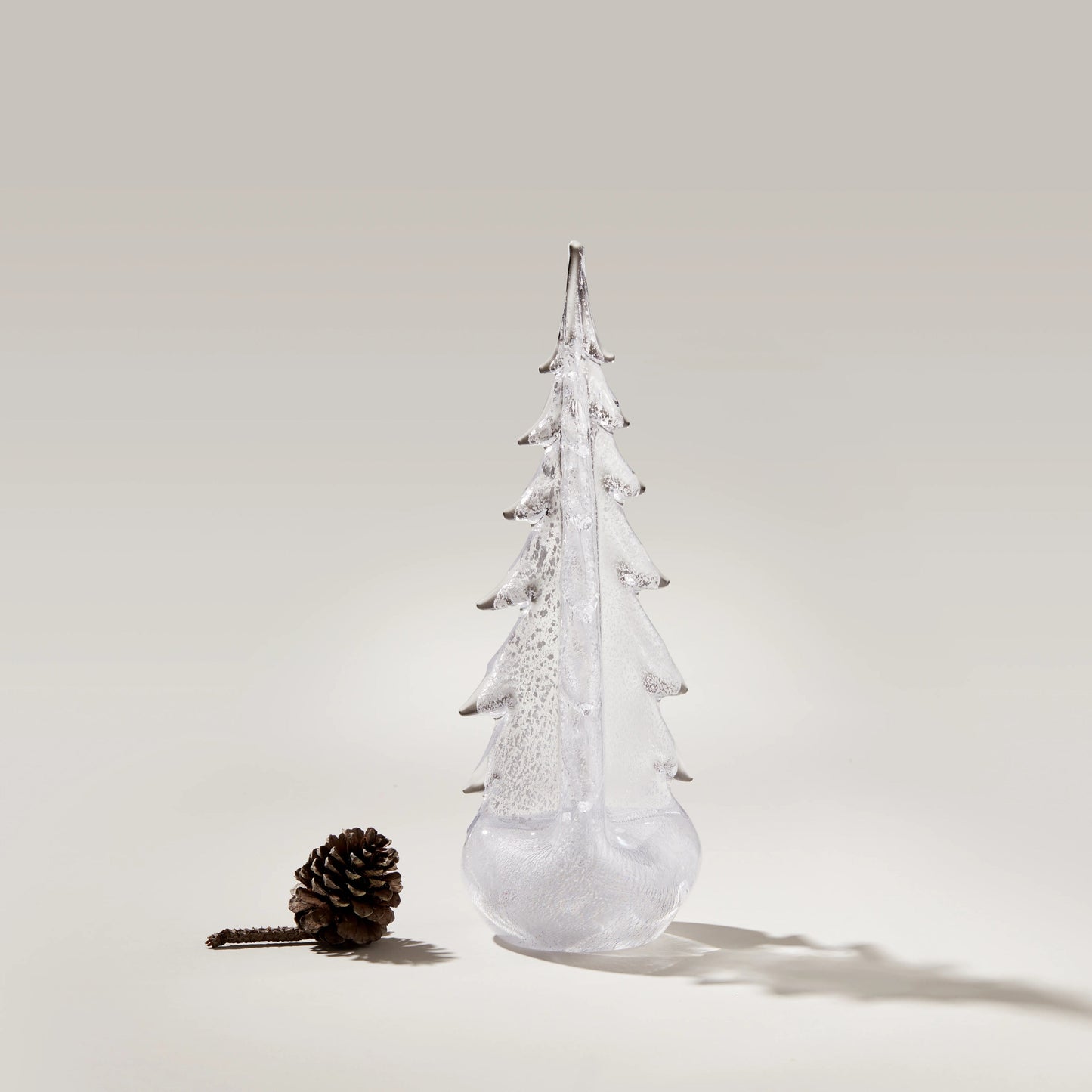 Foglia d'argento sempreverde