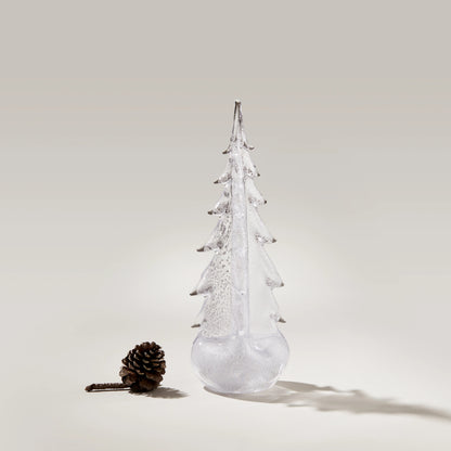 Foglia d'argento sempreverde