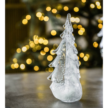 Foglia d'argento sempreverde