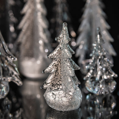 Foglia d'argento sempreverde