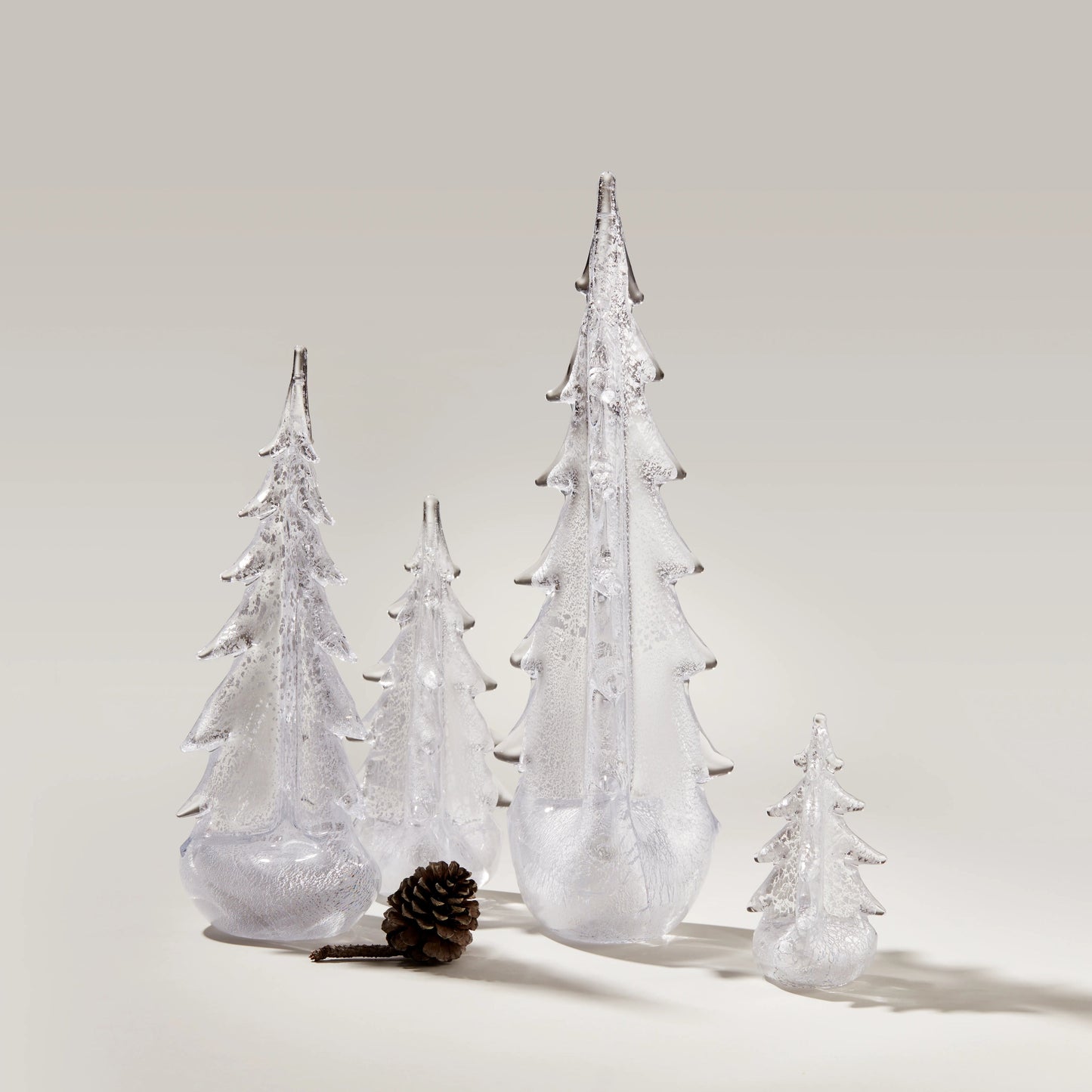 Foglia d'argento sempreverde