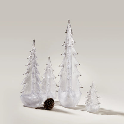 Foglia d'argento sempreverde