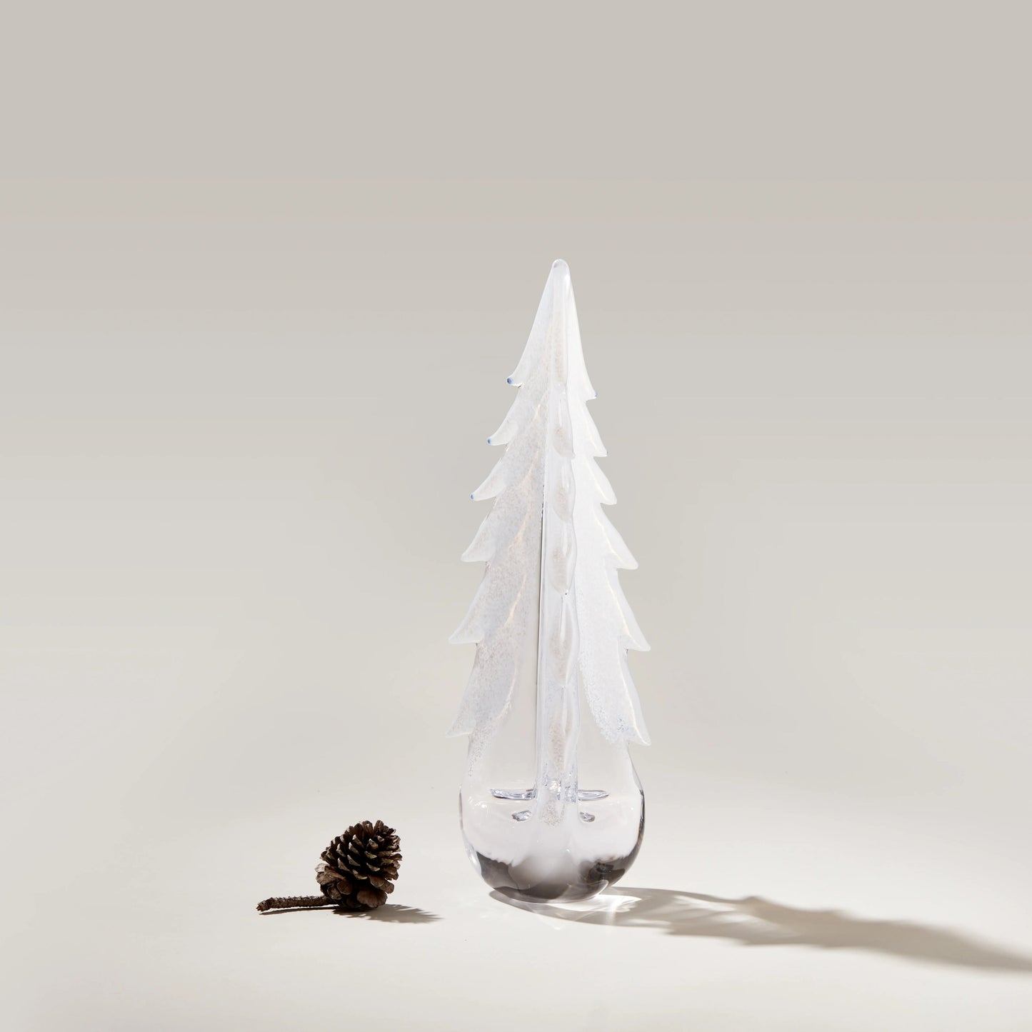 Rami innevati sempreverdi