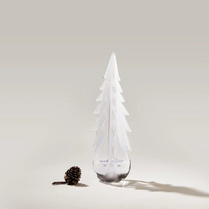 Rami innevati sempreverdi