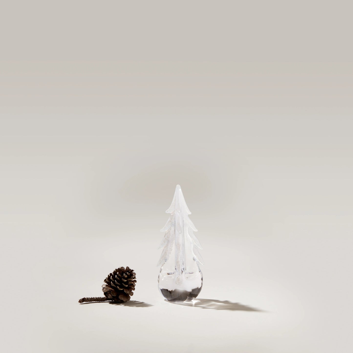 Rami innevati sempreverdi