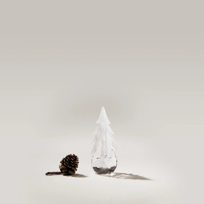 Rami innevati sempreverdi