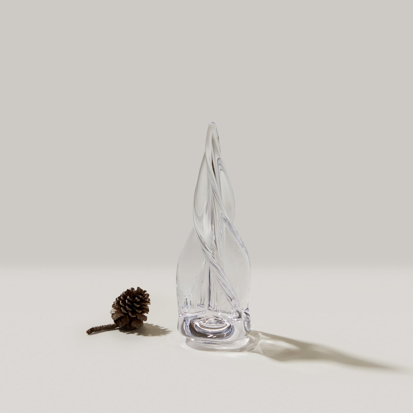 Sempreverde a spirale a quattro lati in scatola regalo