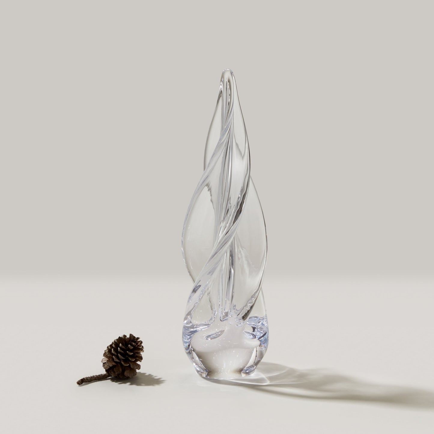 Sempreverde a spirale a quattro lati in scatola regalo