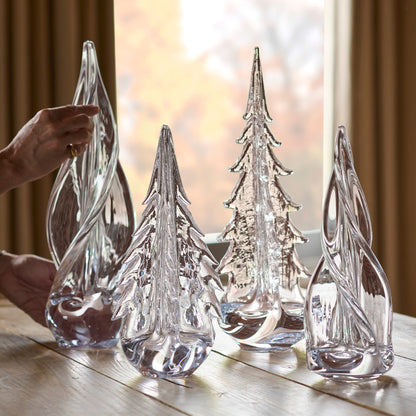 Sempreverde a spirale a quattro lati in scatola regalo