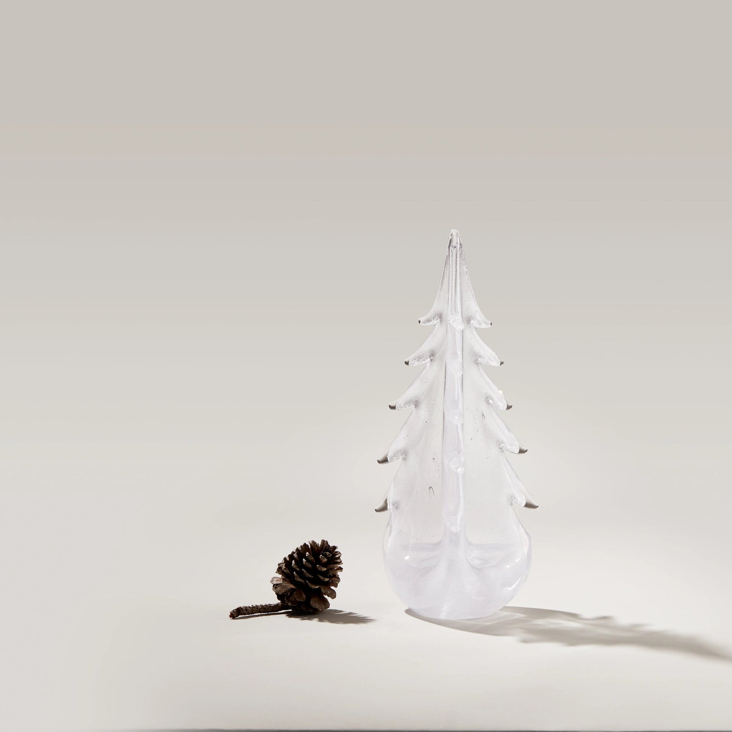 Vela Evergreen in confezione regalo