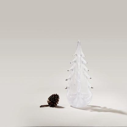 Vela Evergreen in confezione regalo