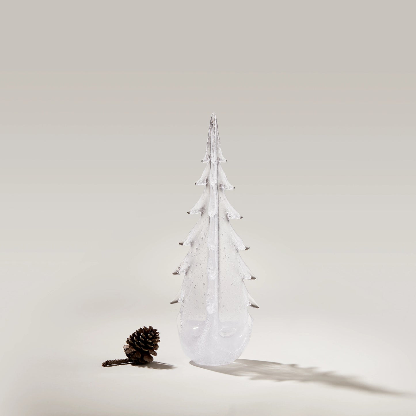 Vela Evergreen in confezione regalo