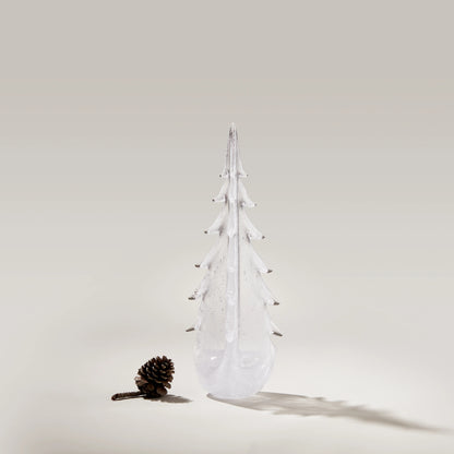 Vela Evergreen in confezione regalo