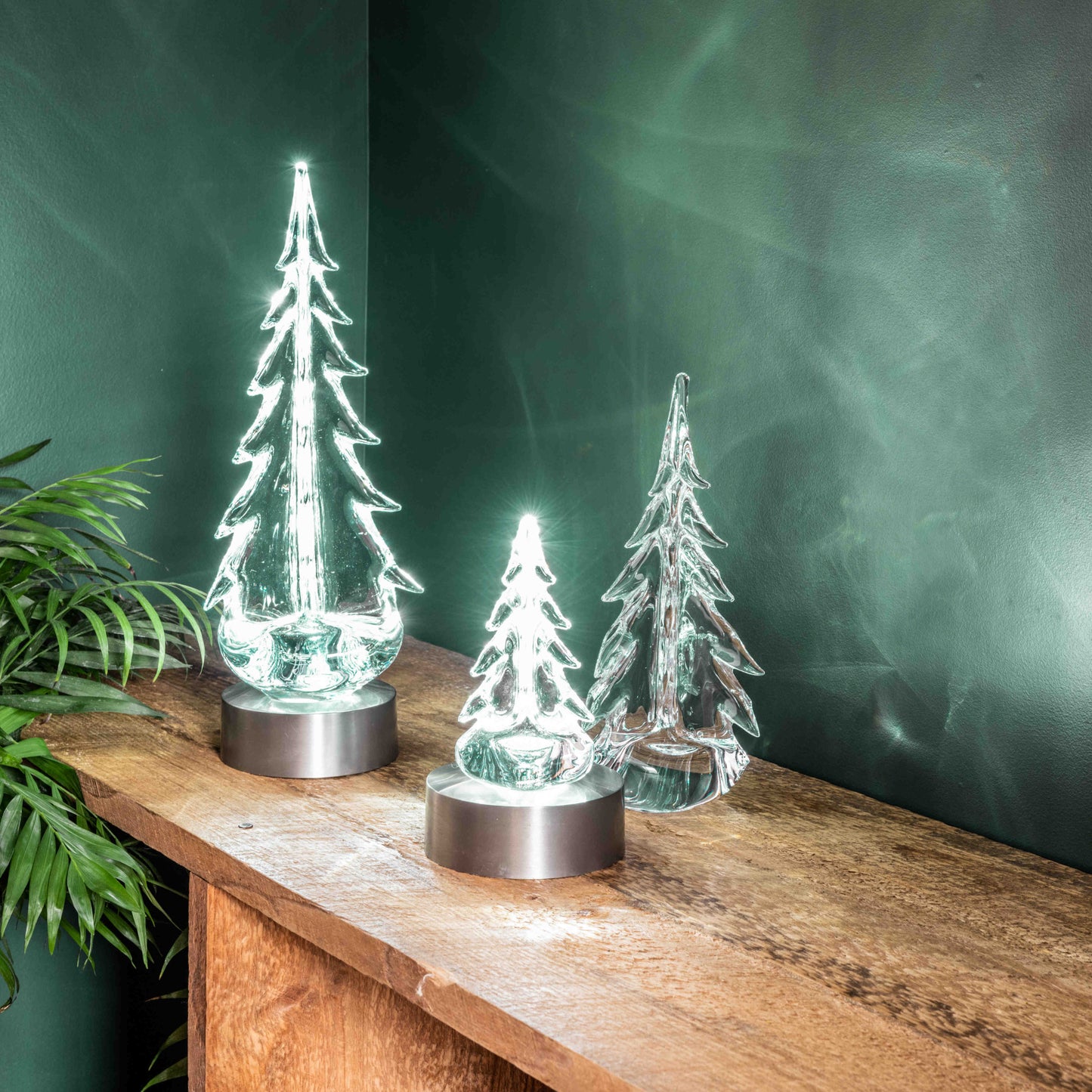 Set di luci a LED e sempreverdi del Vermont