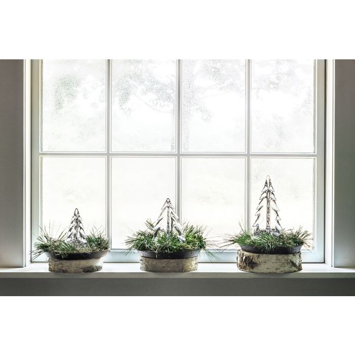 Trio sempreverde del Vermont