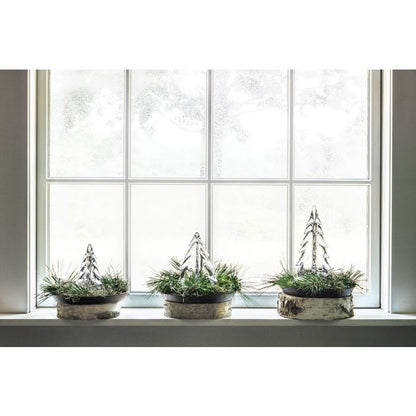 Grande foresta sempreverde