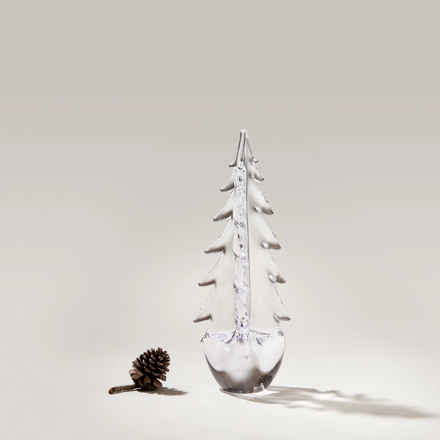 Vermont Evergreen in confezione regalo