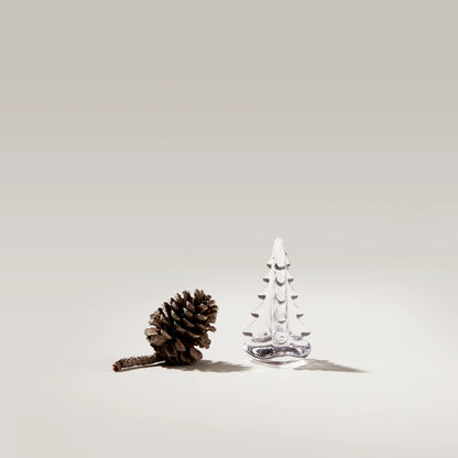 Vermont Evergreen in confezione regalo