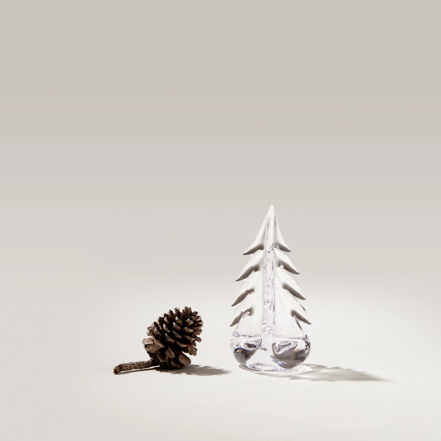 Vermont Evergreen in confezione regalo