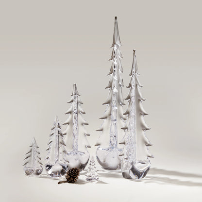 Vermont Evergreen in confezione regalo